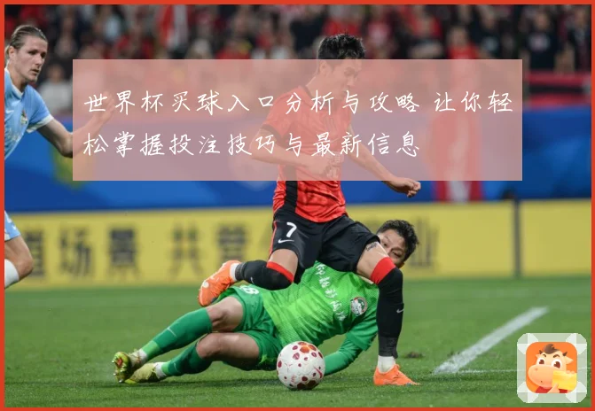 世界杯买球入口分析与攻略 让你轻松掌握投注技巧与最新信息