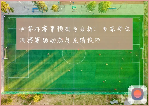 世界杯赛事预测与分析：专家带你洞察赛场动态与竞猜技巧