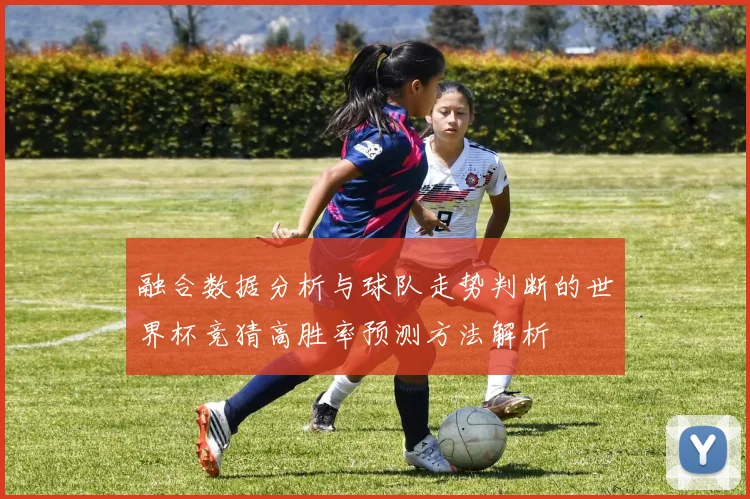融合数据分析与球队走势判断的世界杯竞猜高胜率预测方法解析