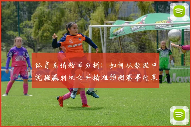 体育竞猜赔率分析：如何从数据中挖掘赢利机会并精准预测赛事结果