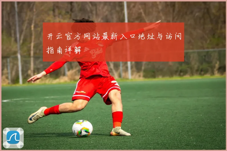 开云官方网站最新入口地址与访问指南详解