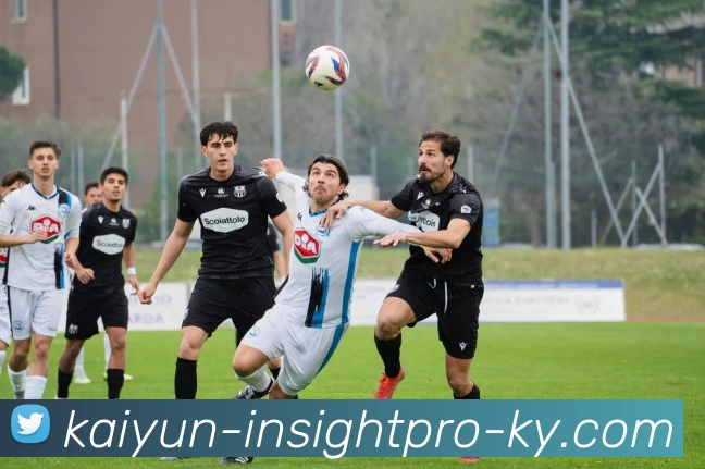 开云平台生态图